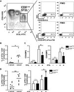 CD38 Antibody in Flow Cytometry (Flow)