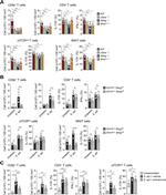 IFN gamma Antibody in Flow Cytometry (Flow)