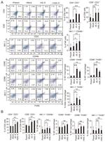 CD80 (B7-1) Antibody in Flow Cytometry (Flow)