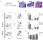 CD34 Antibody in Flow Cytometry (Flow)