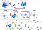 CD133 (Prominin-1) Antibody in Flow Cytometry (Flow)