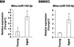 Ly-6A/E (Sca-1) Antibody in Flow Cytometry (Flow)