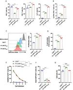 IFN gamma Antibody in Flow Cytometry (Flow)