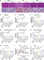 IL-6 Antibody in Neutralization (Neu)