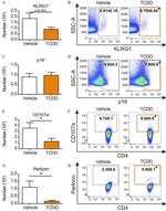 Perforin Antibody in Flow Cytometry (Flow)