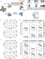 TIGIT Antibody in Flow Cytometry (Flow)