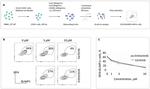 CD19 Antibody in Flow Cytometry (Flow)