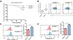 DUSP2 Antibody in Flow Cytometry (Flow)