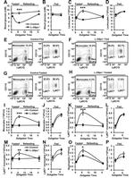 CD115 (c-fms) Antibody in Flow Cytometry (Flow)