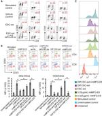 CD69 Antibody in Flow Cytometry (Flow)