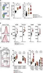 CD152 (CTLA-4) Antibody in Flow Cytometry (Flow)