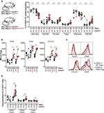 CD152 (CTLA-4) Antibody in Flow Cytometry (Flow)