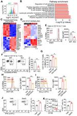 S100A8 Antibody in Flow Cytometry (Flow)