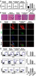 CD8a Antibody in Flow Cytometry (Flow)