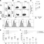 TIGIT Antibody in Flow Cytometry (Flow)