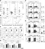 TIGIT Antibody in Flow Cytometry (Flow)