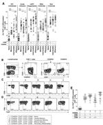 TIGIT Antibody in Flow Cytometry (Flow)