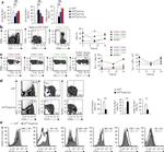 CD25 Antibody in Flow Cytometry (Flow)