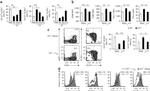 CD127 Antibody in Flow Cytometry (Flow)