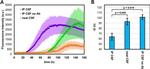 ApoA1 Antibody in Immunoprecipitation (IP)