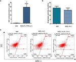 MRC1 Antibody in Flow Cytometry (Flow)