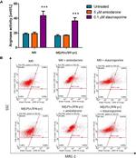 MRC1 Antibody in Flow Cytometry (Flow)