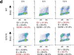 Rat IgG (H+L) Cross-Adsorbed Secondary Antibody in Flow Cytometry (Flow)