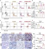 CD4 Antibody in Flow Cytometry (Flow)