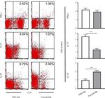 CD4 Antibody in Flow Cytometry (Flow)