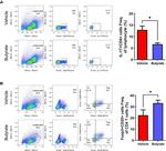 IL-17A Antibody in Flow Cytometry (Flow)