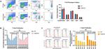 CD25 Antibody in Flow Cytometry (Flow)