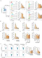 IFN gamma Antibody in Flow Cytometry (Flow)