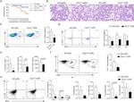 CD4 Antibody in Flow Cytometry (Flow)