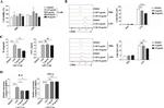 CD40 Antibody in Flow Cytometry (Flow)