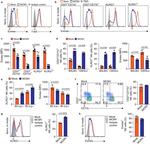 EOMES Antibody in Flow Cytometry (Flow)