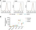 CD14 Antibody in Flow Cytometry (Flow)