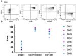 CD20 Antibody in Flow Cytometry (Flow)