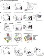 CD24 Antibody in Flow Cytometry (Flow)