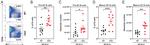 CD38 Antibody in Flow Cytometry (Flow)