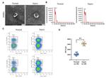 CD41a Antibody in Flow Cytometry (Flow)