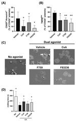 CD62P (P-Selectin) Antibody in Flow Cytometry (Flow)