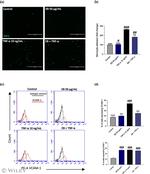 CD106 (VCAM-1) Antibody in Flow Cytometry (Flow)