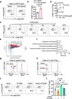 HIF-1 alpha Antibody in Flow Cytometry (Flow)