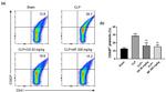 CD62P (P-Selectin) Antibody in Flow Cytometry (Flow)