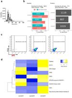 CD81 Antibody in Flow Cytometry (Flow)