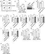 TLR4 Antibody in Flow Cytometry (Flow)