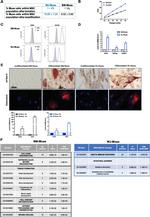 CD105 (Endoglin) Antibody in Flow Cytometry (Flow)