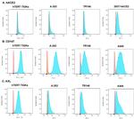 Axl Antibody in Flow Cytometry (Flow)