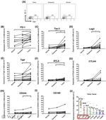 CD152 (CTLA-4) Antibody in Flow Cytometry (Flow)