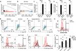 iNOS Antibody in Flow Cytometry (Flow)